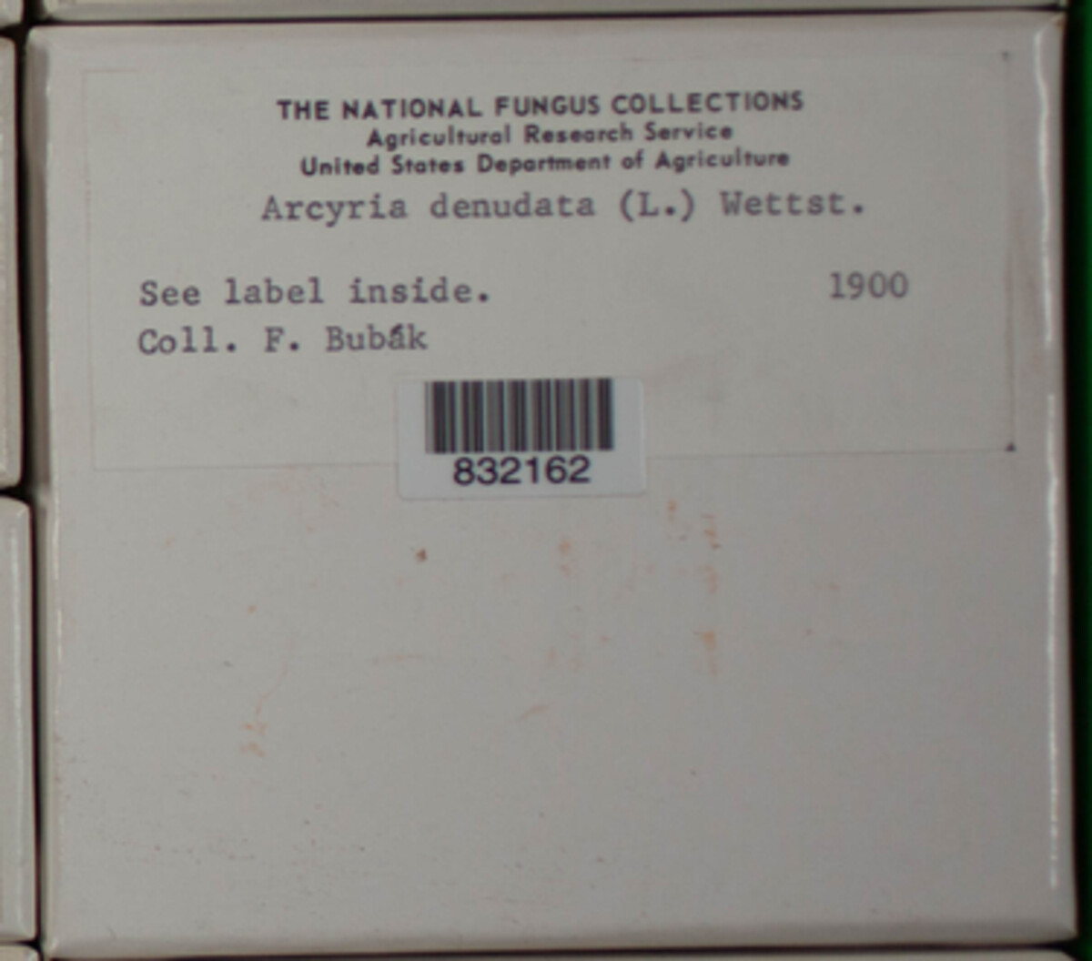 Arcyria denudata image